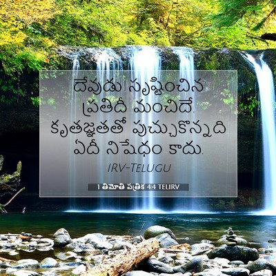 Picture 07 - 1 తిమోతి పత్రిక 4:4 TELIRV - దేవుడు సృష్టించిన - Bible Verse Picture