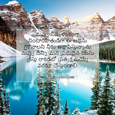Picture 07 - 1 తిమోతి పత్రిక 6:14 TELIRV - నువ్వు - Bible Verse Picture