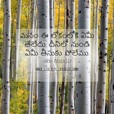 Picture 07 - 1 తిమోతి పత్రిక 6:7 TELIRV - మనం ఈ లోకంలోకి ఏమీ - Bible Verse Picture