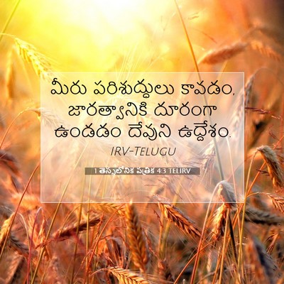 Picture 07 - 1 తెస్సలోనిక పత్రిక 4:3 TELIRV - మీరు పరిశుద్ధులు - Bible Verse Picture