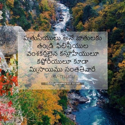 Picture 07 - 1 దినవృత్తాంతాలు 1:12 TELIRV - పత్రుసీయులు అనే - Bible Verse Picture
