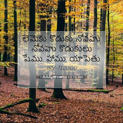 Picture 07 - 1 దినవృత్తాంతాలు 1:4 TELIRV - లెమెకు కొడుకు - Bible Verse Picture