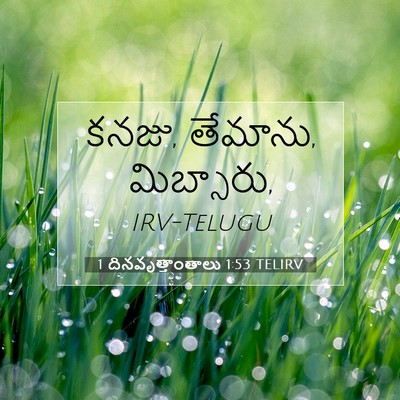 Picture 07 - 1 దినవృత్తాంతాలు 1:53 TELIRV - కనజు, తేమాను, - Bible Verse Picture
