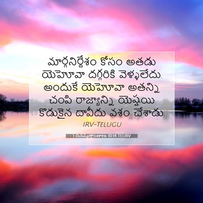 Picture 07 - 1 దినవృత్తాంతాలు 10:14 TELIRV - మార్గనిర్దేశం - Bible Verse Picture