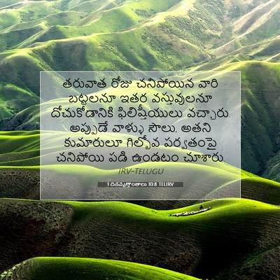 Picture 07 - 1 దినవృత్తాంతాలు 10:8 TELIRV - తరువాత రోజు - Bible Verse Picture