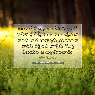 Picture 07 - 1 దినవృత్తాంతాలు 11:14 TELIRV - అయితే వీళ్ళు ఆ - Bible Verse Picture
