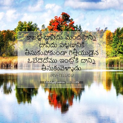 Picture 07 - 1 దినవృత్తాంతాలు 13:13 TELIRV - కాబట్టి దావీదు, - Bible Verse Picture