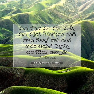 Picture 07 - 1 దినవృత్తాంతాలు 13:3 TELIRV - మన దేవుని మందసం - Bible Verse Picture