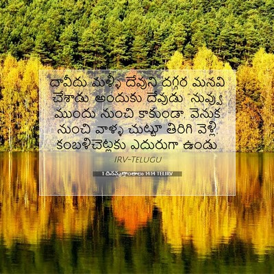 Picture 07 - 1 దినవృత్తాంతాలు 14:14 TELIRV - దావీదు మళ్ళీ - Bible Verse Picture