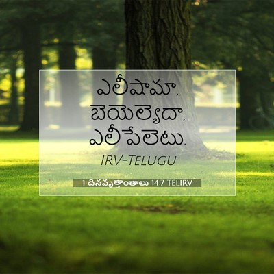 Picture 07 - 1 దినవృత్తాంతాలు 14:7 TELIRV - ఎలీషామా, - Bible Verse Picture