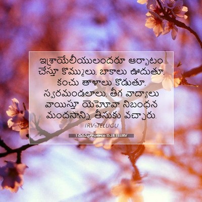Picture 07 - 1 దినవృత్తాంతాలు 15:28 TELIRV - ఇశ్రాయేలీయులందరూ - Bible Verse Picture