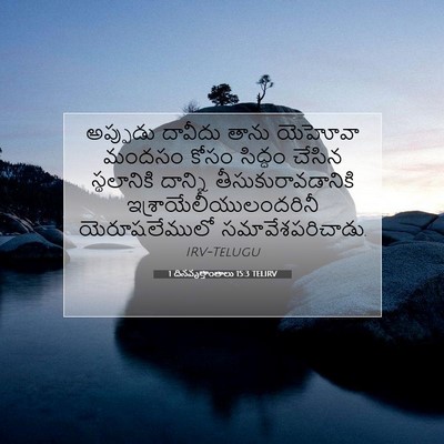 Picture 07 - 1 దినవృత్తాంతాలు 15:3 TELIRV - అప్పుడు దావీదు - Bible Verse Picture