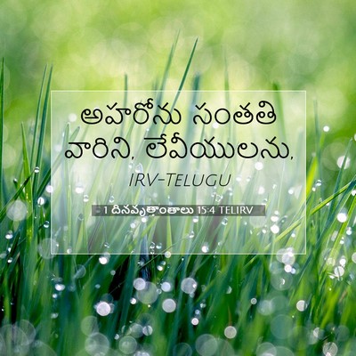 Picture 07 - 1 దినవృత్తాంతాలు 15:4 TELIRV - అహరోను సంతతి - Bible Verse Picture