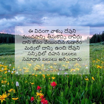 Picture 07 - 1 దినవృత్తాంతాలు 16:1 TELIRV - ఈ విధంగా వాళ్ళు - Bible Verse Picture