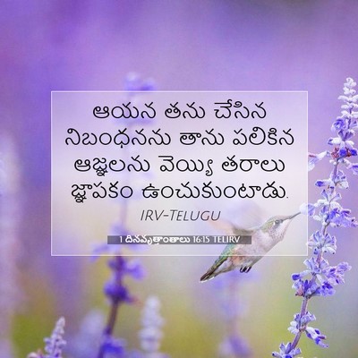 Picture 07 - 1 దినవృత్తాంతాలు 16:15 TELIRV - ఆయన తను చేసిన - Bible Verse Picture