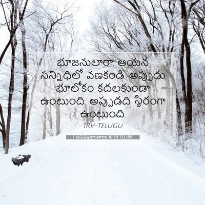 Picture 07 - 1 దినవృత్తాంతాలు 16:30 TELIRV - భూజనులారా, ఆయన - Bible Verse Picture