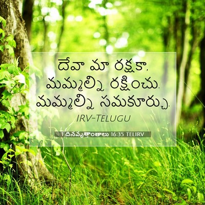 Picture 07 - 1 దినవృత్తాంతాలు 16:35 TELIRV - దేవా మా రక్షకా, - Bible Verse Picture