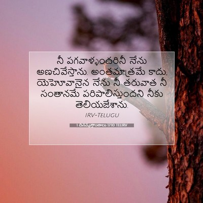 Picture 07 - 1 దినవృత్తాంతాలు 17:10 TELIRV - నీ పగవాళ్ళందరినీ - Bible Verse Picture