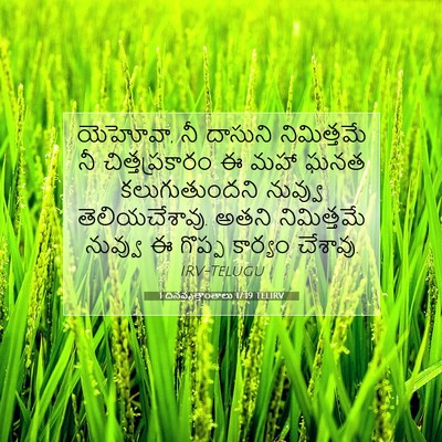Picture 07 - 1 దినవృత్తాంతాలు 17:19 TELIRV - యెహోవా, నీ దాసుని - Bible Verse Picture