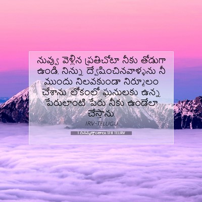 Picture 07 - 1 దినవృత్తాంతాలు 17:8 TELIRV - నువ్వు వెళ్లిన - Bible Verse Picture