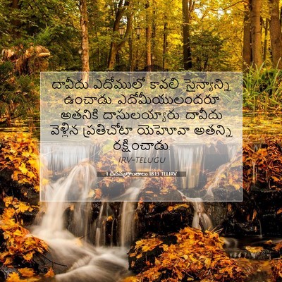 Picture 07 - 1 దినవృత్తాంతాలు 18:13 TELIRV - దావీదు ఎదోములో - Bible Verse Picture