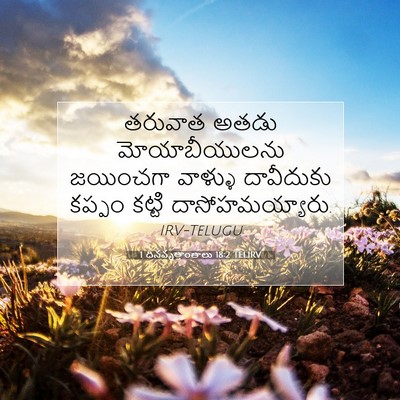 Picture 07 - 1 దినవృత్తాంతాలు 18:2 TELIRV - తరువాత అతడు - Bible Verse Picture