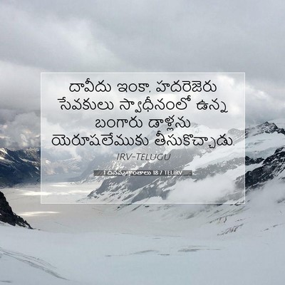 Picture 07 - 1 దినవృత్తాంతాలు 18:7 TELIRV - దావీదు ఇంకా, - Bible Verse Picture