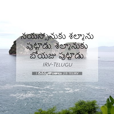 Picture 07 - 1 దినవృత్తాంతాలు 2:11 TELIRV - నయస్సోనుకు - Bible Verse Picture