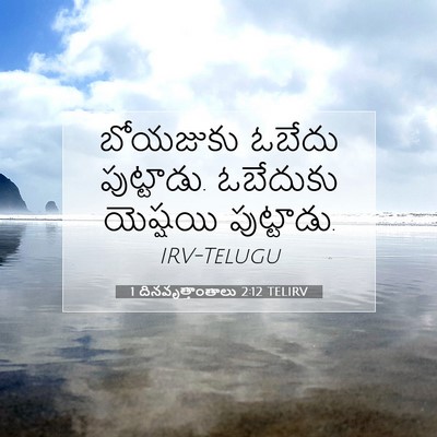 Picture 07 - 1 దినవృత్తాంతాలు 2:12 TELIRV - బోయజుకు ఓబేదు - Bible Verse Picture