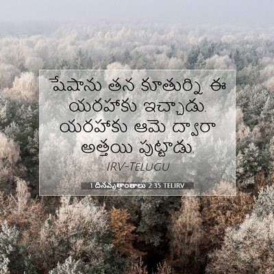 Picture 07 - 1 దినవృత్తాంతాలు 2:35 TELIRV - షేషాను తన - Bible Verse Picture