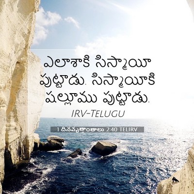 Picture 07 - 1 దినవృత్తాంతాలు 2:40 TELIRV - ఎలాశాకి సిస్మాయీ - Bible Verse Picture