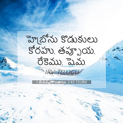 Picture 07 - 1 దినవృత్తాంతాలు 2:43 TELIRV - హెబ్రోను కొడుకులు - Bible Verse Picture