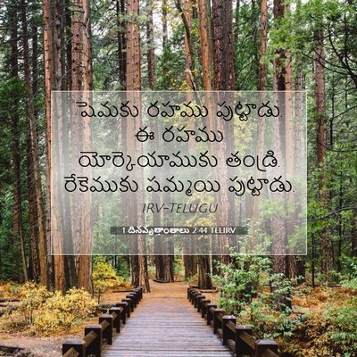 Picture 07 - 1 దినవృత్తాంతాలు 2:44 TELIRV - షెమకు రహము - Bible Verse Picture