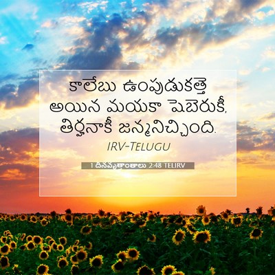 Picture 07 - 1 దినవృత్తాంతాలు 2:48 TELIRV - కాలేబు - Bible Verse Picture