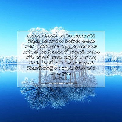 Picture 07 - 1 దినవృత్తాంతాలు 21:15 TELIRV - యెరూషలేమును నాశనం - Bible Verse Picture