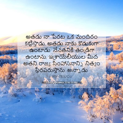 Picture 07 - 1 దినవృత్తాంతాలు 22:10 TELIRV - అతడు నా పేరట ఒక - Bible Verse Picture