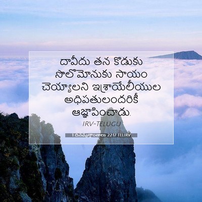Picture 07 - 1 దినవృత్తాంతాలు 22:17 TELIRV - దావీదు తన కొడుకు - Bible Verse Picture