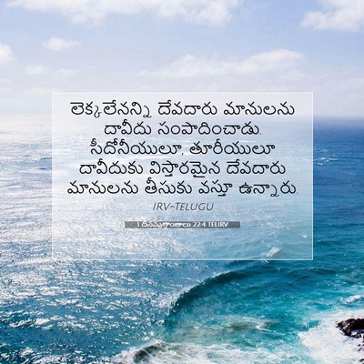 Picture 07 - 1 దినవృత్తాంతాలు 22:4 TELIRV - లెక్కలేనన్ని - Bible Verse Picture