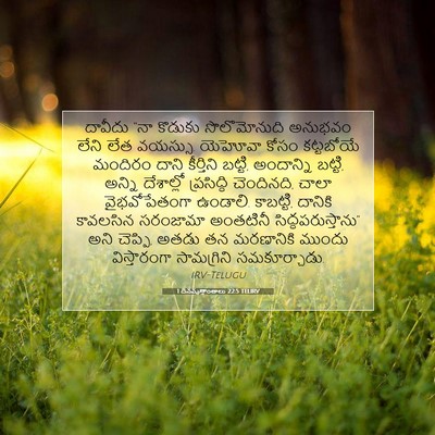 Picture 07 - 1 దినవృత్తాంతాలు 22:5 TELIRV - దావీదు “నా కొడుకు - Bible Verse Picture