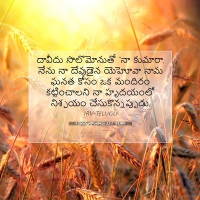 Picture 07 - 1 దినవృత్తాంతాలు 22:7 TELIRV - దావీదు సొలొమోనుతో - Bible Verse Picture