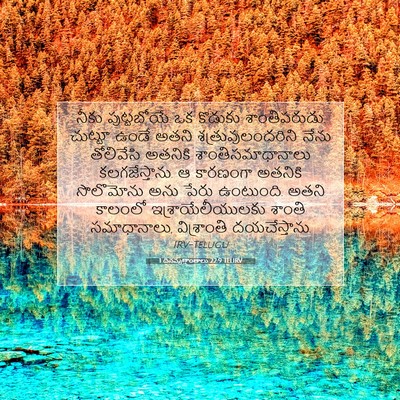 Picture 07 - 1 దినవృత్తాంతాలు 22:9 TELIRV - నీకు పుట్టబోయే ఒక - Bible Verse Picture