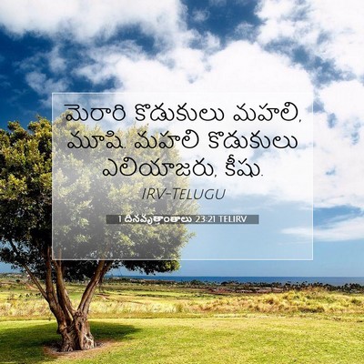 Picture 07 - 1 దినవృత్తాంతాలు 23:21 TELIRV - మెరారి కొడుకులు - Bible Verse Picture