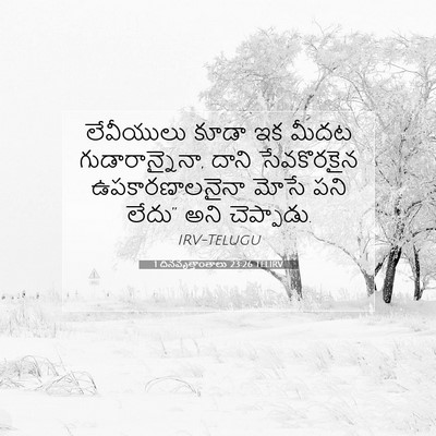 Picture 07 - 1 దినవృత్తాంతాలు 23:26 TELIRV - లేవీయులు కూడా ఇక - Bible Verse Picture