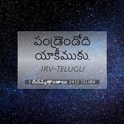 Picture 07 - 1 దినవృత్తాంతాలు 24:12 TELIRV - పండ్రెండోది - Bible Verse Picture