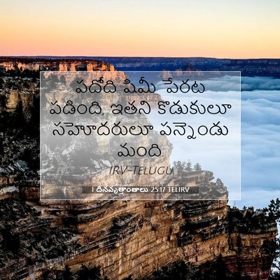 Picture 07 - 1 దినవృత్తాంతాలు 25:17 TELIRV - పదోది షిమీ పేరట - Bible Verse Picture