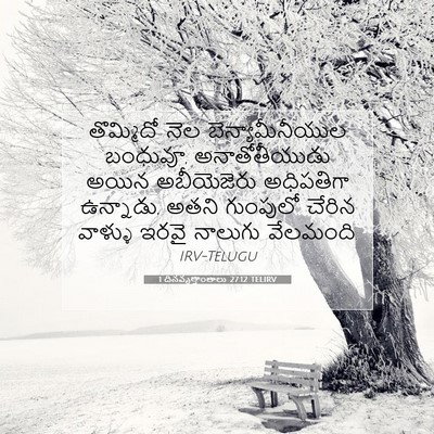 Picture 07 - 1 దినవృత్తాంతాలు 27:12 TELIRV - తొమ్మిదో నెల - Bible Verse Picture