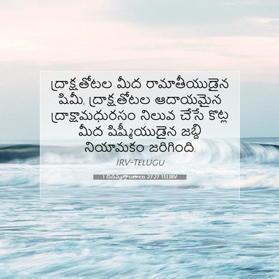 Picture 07 - 1 దినవృత్తాంతాలు 27:27 TELIRV - ద్రాక్షతోటల మీద - Bible Verse Picture