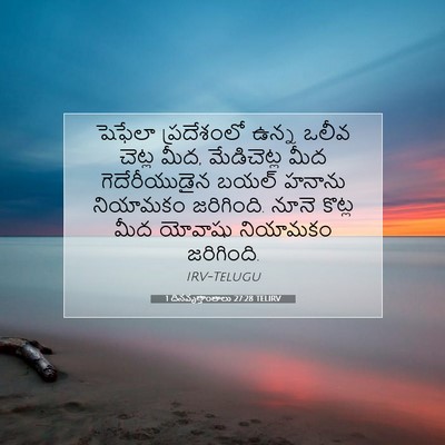 Picture 07 - 1 దినవృత్తాంతాలు 27:28 TELIRV - షెఫేలా ప్రదేశంలో - Bible Verse Picture