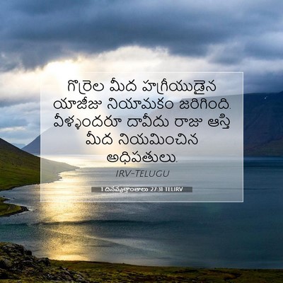 Picture 07 - 1 దినవృత్తాంతాలు 27:31 TELIRV - గొర్రెల మీద - Bible Verse Picture