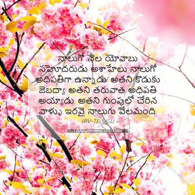 Picture 07 - 1 దినవృత్తాంతాలు 27:7 TELIRV - నాలుగో నెల యోవాబు - Bible Verse Picture